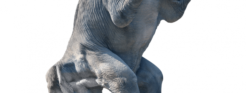 Elefant macht Kopfstand