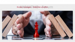 Risiken managen
